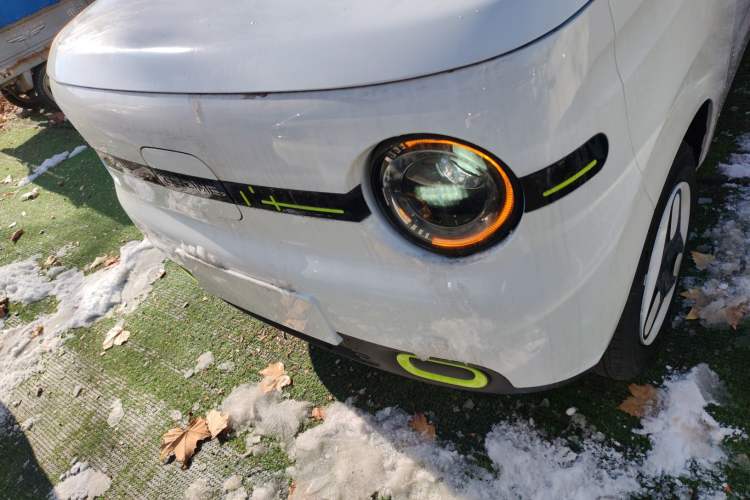 Used  Panda 2025 210 km – Yuanqi Bear
