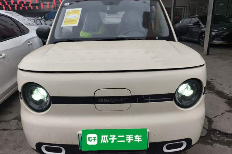 Used  Panda 2025 210 km – Yuanqi Bear