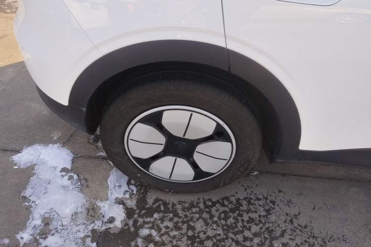 Used  Geome 2025 310km Youth Edition