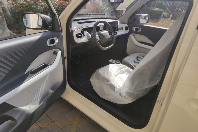 Used  Panda 2025 210 km – Yuanqi Bear