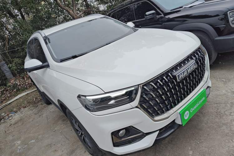 Used Haval H6 2023 National Trend Edition 1.5T Automatic Urban Version
