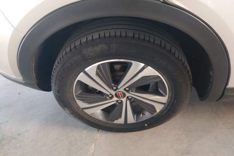 Used Hongqi HS5 2019 2.0T Smart Connect Flagship Edition
