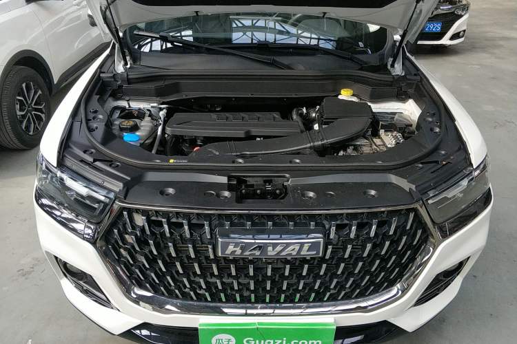 Used Haval H6 2023 National Trend Edition 1.5T Automatic Urban Version
