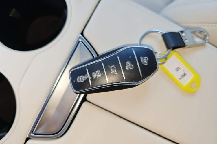 Used BYD Xia 2025 DM-i 1.5T 180km Excellence Model
