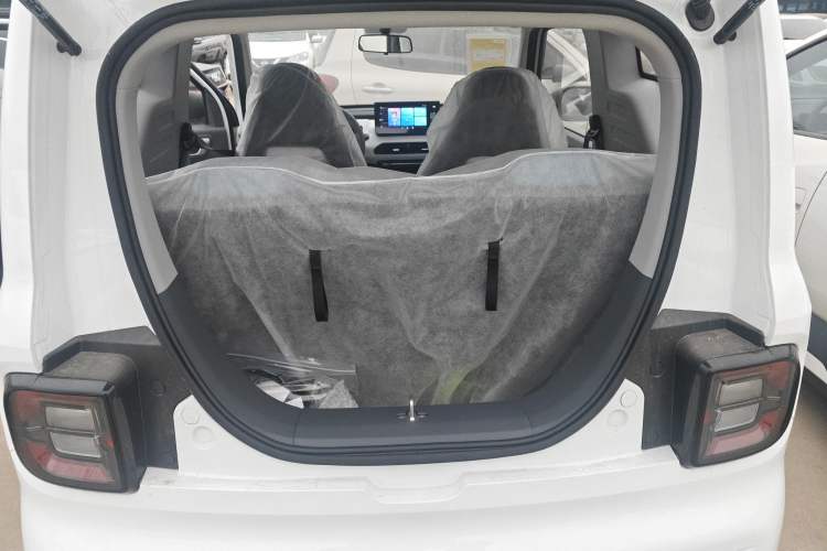 Used  Panda 2024 Panda Mini 200km Endurance Bear
