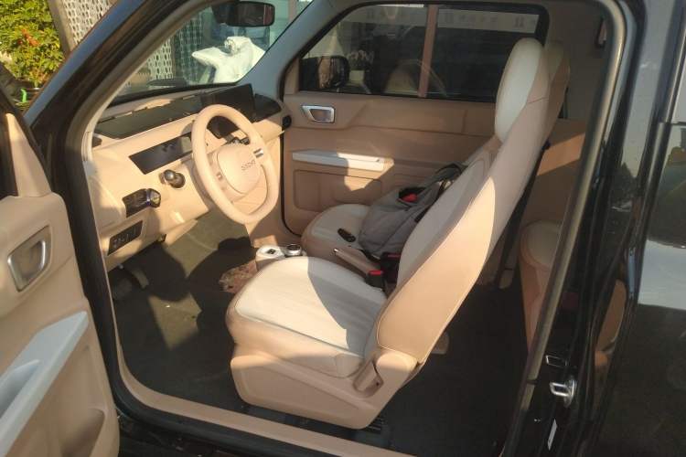 Used  Panda 2024 200km Panda Kart
