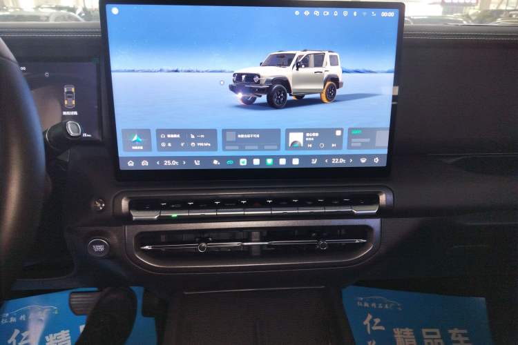 Used Tank 300 New Energy 2025 Hi4-T
