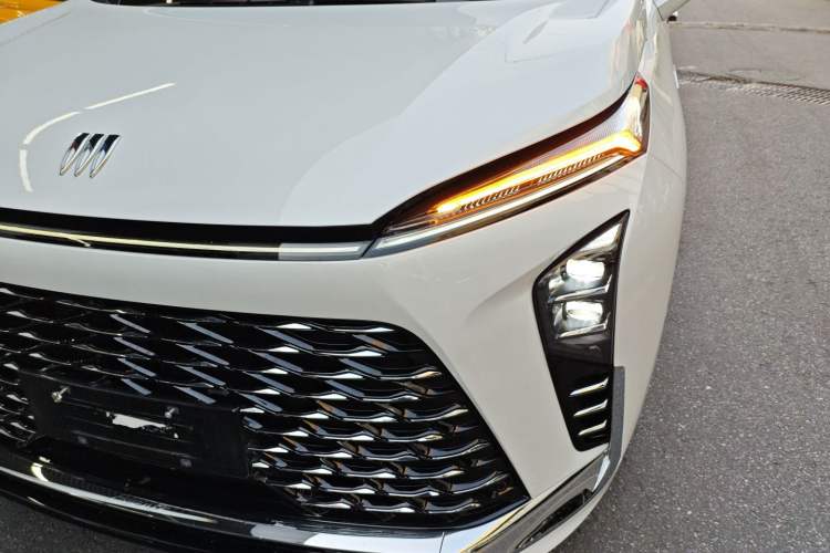 Used Buick GL8 New Energy 2024 Lu Zun Luxury Edition 7-Seater
