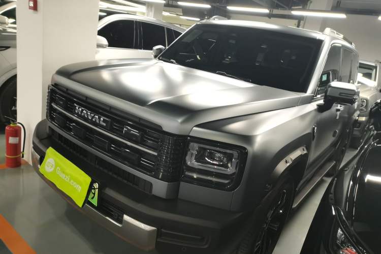 Used Haval Raptor New Energy 