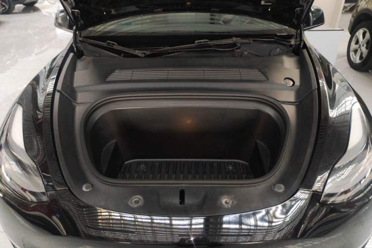 Used Tesla Model Y 2021 Standard Range Rear-Wheel Drive Version
