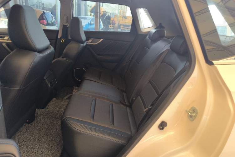 Used Venucia T60EV 2020 AI Enjoyment Model