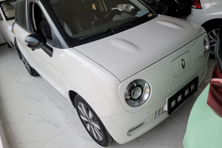 Used ORA Black Cat 2022 351 km Standard Version Ternary Lithium