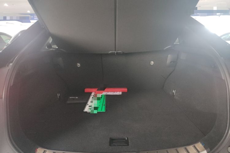 Used Lexus RZ 2023 450e All-Wheel Drive Luxury Edition
