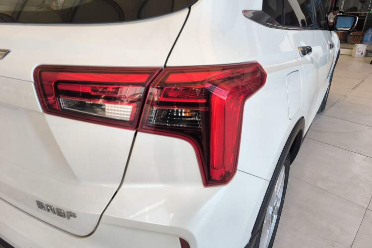 Used Venucia T60EV 2020 AI Enjoyment Model