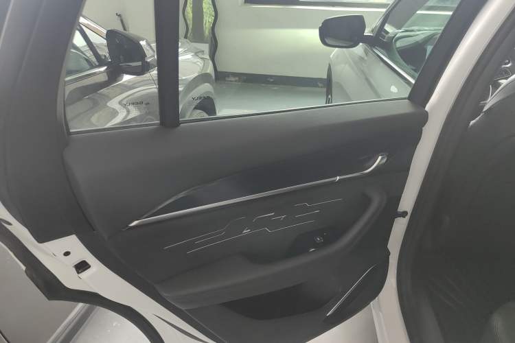 Used Geely Auto Monjaro L 2024 2.0TD High-Power Automatic Two-Wheel Drive Skyline Edition
