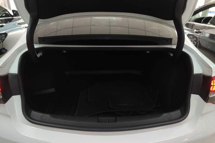 Used Buick Regal 2019 20T Elite Version China VI Standard