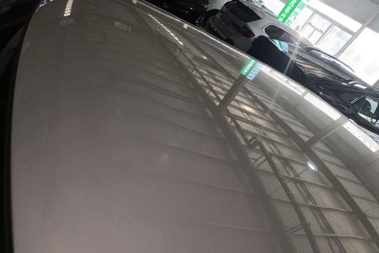 Used  Lumin 2023 301km Honey Dew Edition