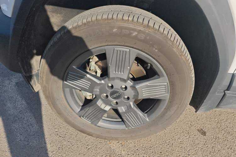 Used  03 2024 501km Two-Wheel Drive Long-Range Version
