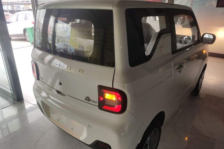 Used  Panda 2024 Panda Mini 200km Longteng PRO Edition
