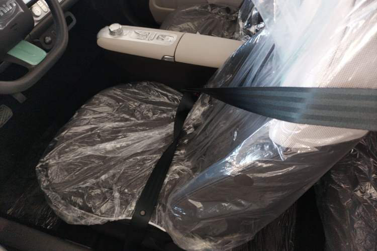 Used  Lumin 2025 205 km Xiangqin Version
