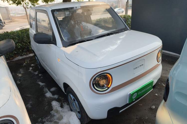 Used  Panda 2024 Panda Mini 200km Endurance Bear
