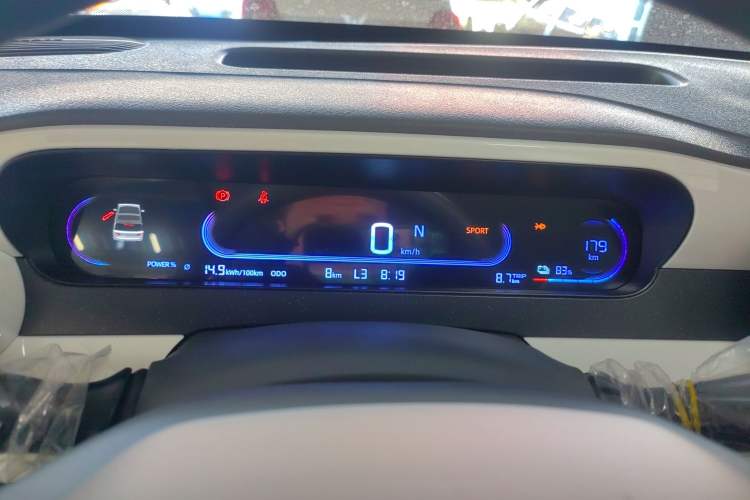 Used  Panda 2025 210 km – Yuanqi Bear
