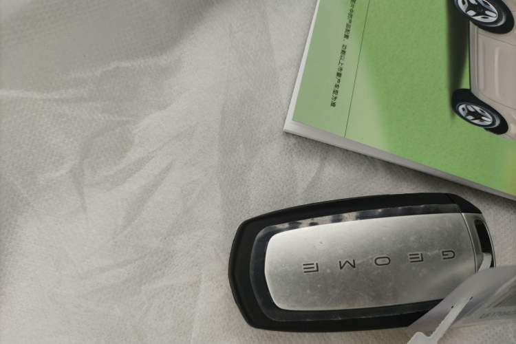 Used  Panda 2025 210 km – Yuanqi Bear