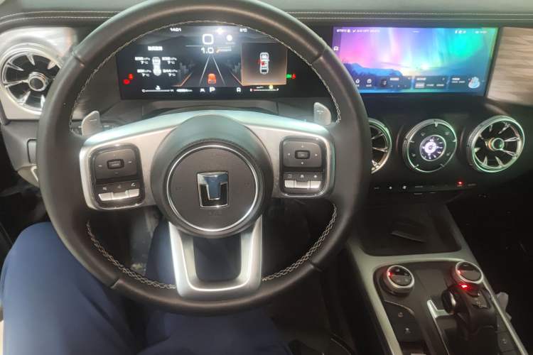 Used Tank 300 2024 2.0T Conqueror
