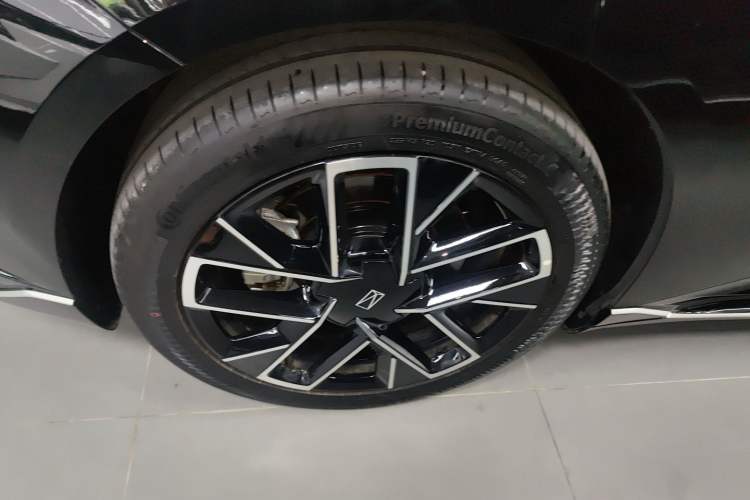 Used  06 2025 Max Extended-Range Edition
