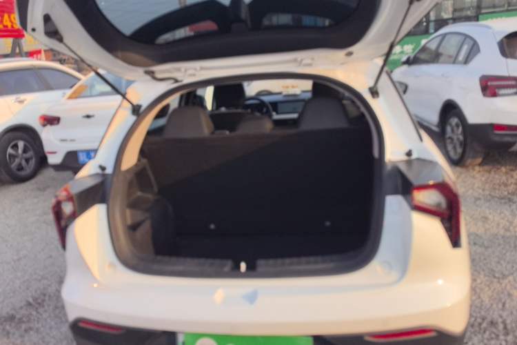 Used Geometry E Firefly 2024 401km Starlight
