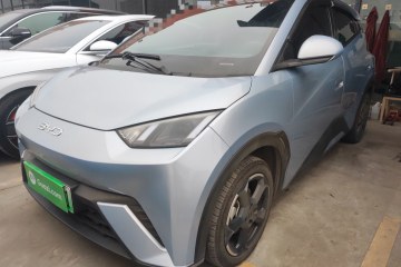 Used BYD Seagull 2024 Honor Edition 305km Freedom Version