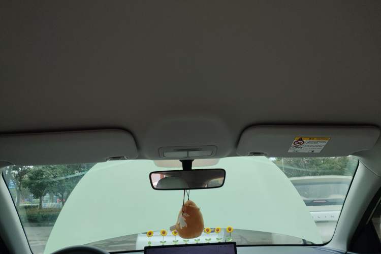 Used  Geome 2025 310km Dream Edition
