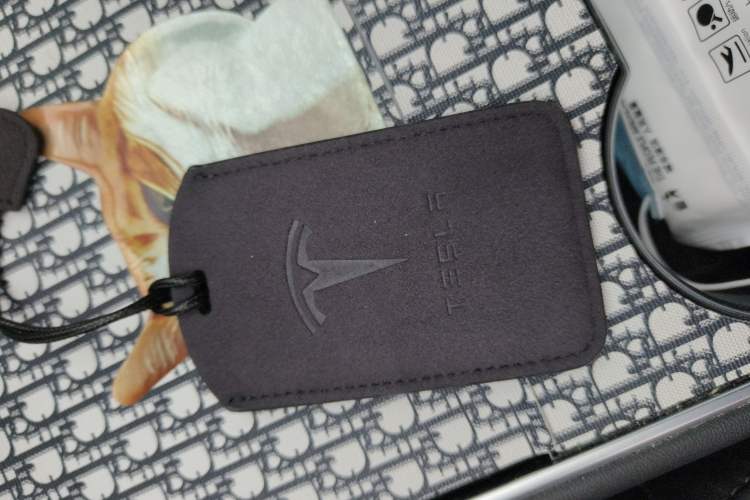 Used Tesla Model 3 2020 Standard Range Rear-Wheel Drive Upgraded Version