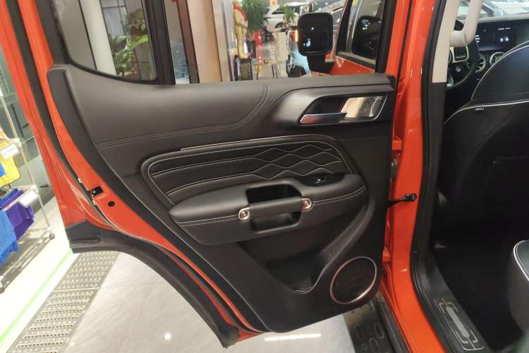 Used Tank 300 2024 2.0T Conqueror
