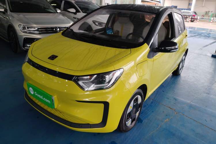 Used SOL E10X 2022 Flower Fairy Design Four-Leaf Clover