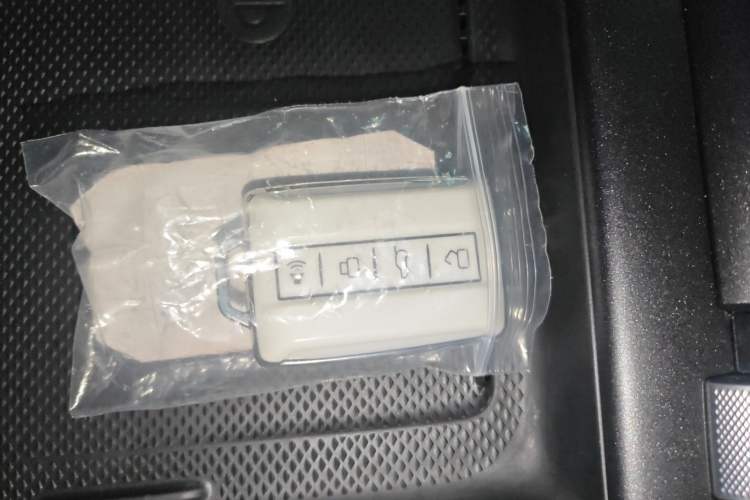 Used Tank 300 New Energy 2025 Hi4-T
