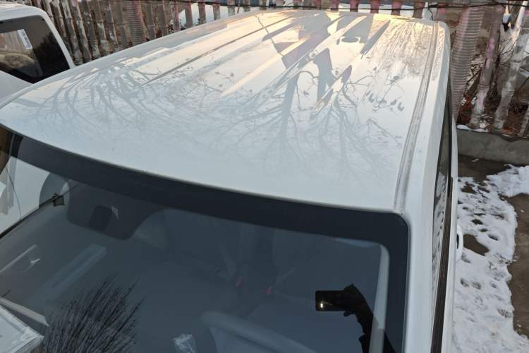 Used  Panda 2024 Panda Mini 200km Endurance Bear