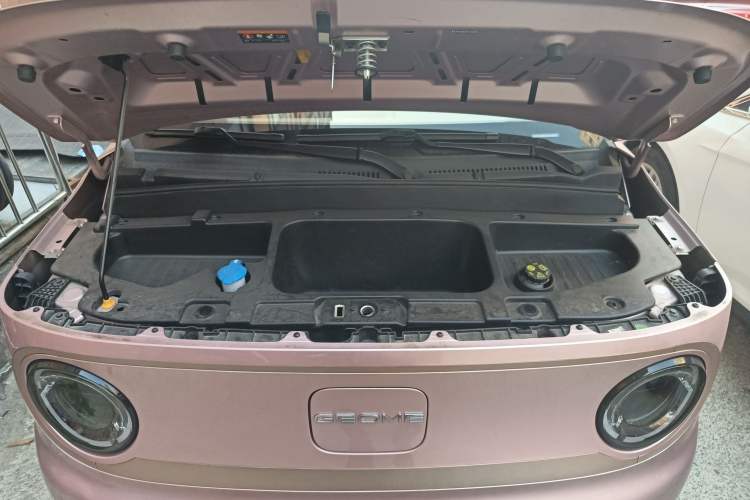 Used  Panda 2023 Panda Mini New Year Edition Treasure Bear
