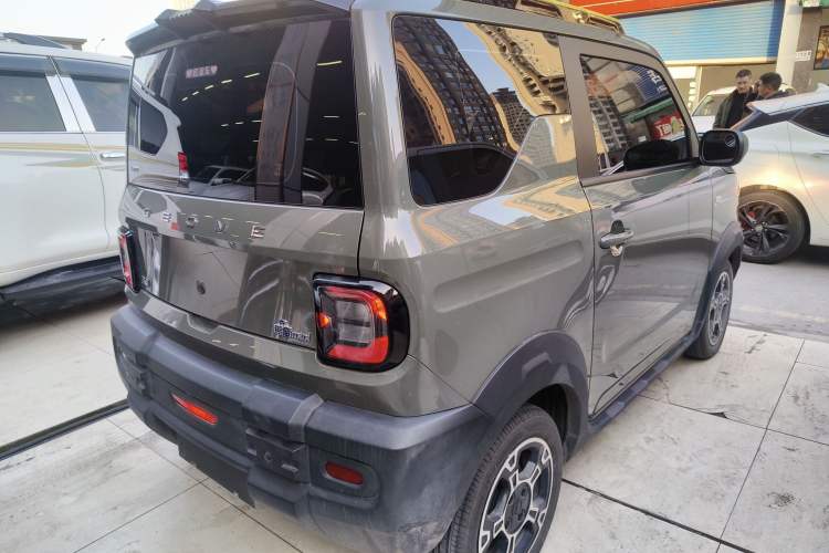 Used  Panda 2024 200km Panda Rider
