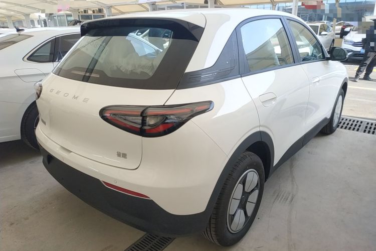 Used  Geome 2025 310km Youth Edition
