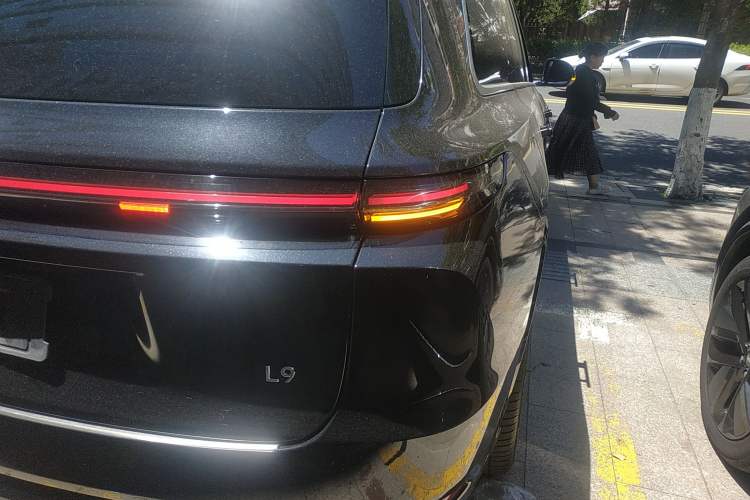 Used Li Auto L9 2023 Pro Model
