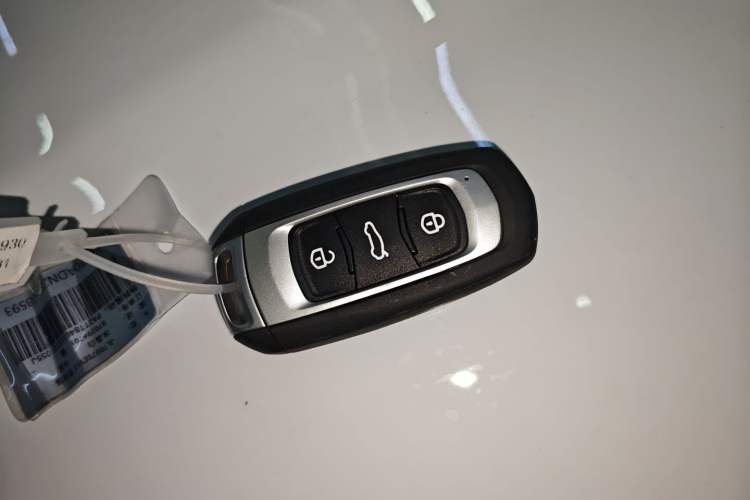 Used  Panda 2024 Panda Mini 200km Endurance Bear
