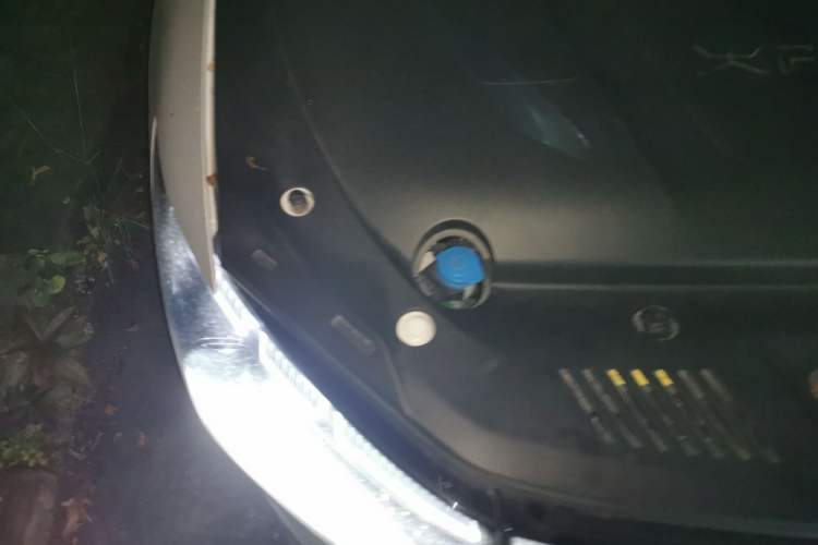 Used XPeng P5 2021 550E
