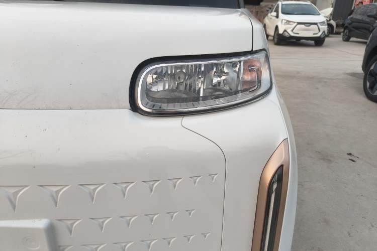 Used ORA White Cat 2022 Xiaoyue Mao Edition 360 km Luxury Model Lithium NMC
