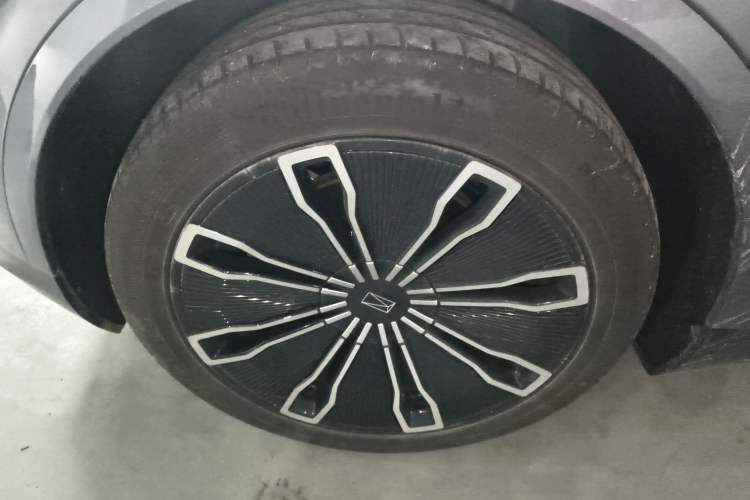 Used  07 2024 Max Extended-Range Edition
