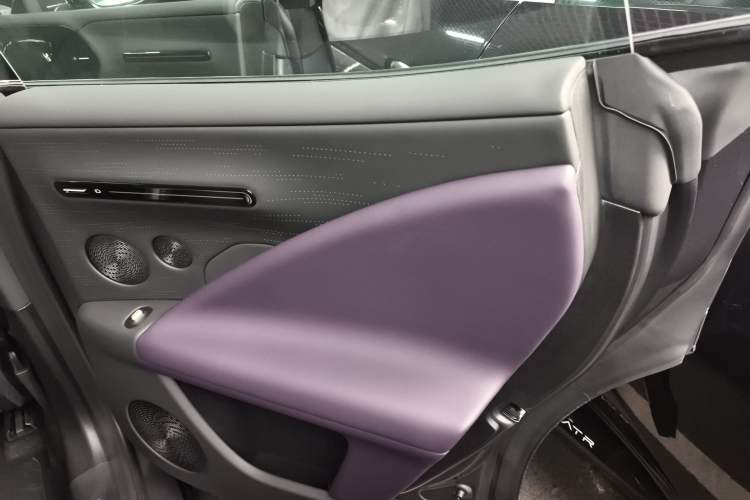 Used  07 2024 Max Pure Electric Edition
