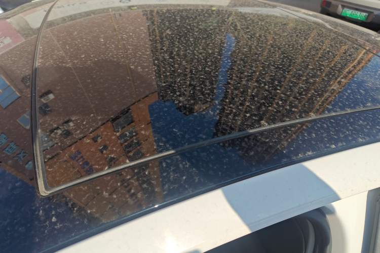 Used Volkswagen Lamando 2021 Revised Version 280TSI DSG Comfort Edition