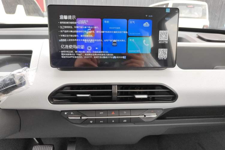 Used  Panda 2024 Panda Mini 200km Endurance Bear
