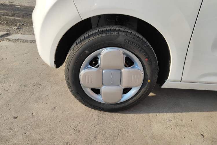 Used  Panda 2024 Panda Mini 200km Endurance Bear