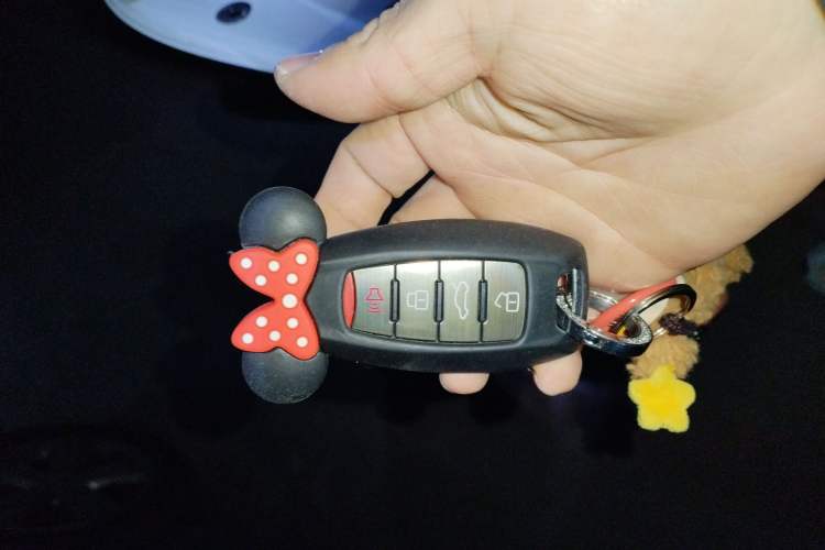 Used ORA Black Cat 2022 351 km Range Comfort Version Ternary Lithium